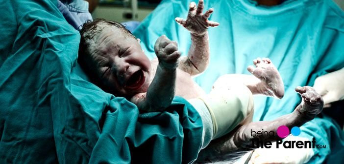 When Do The Baby Get Food Through A Umbilical Cord When Do The Baby Get Food Through A Umbilical Cord
