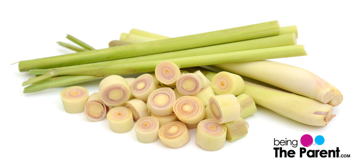 Thai Food Safe During Pregnancy Thai Food Safe During Pregnancy