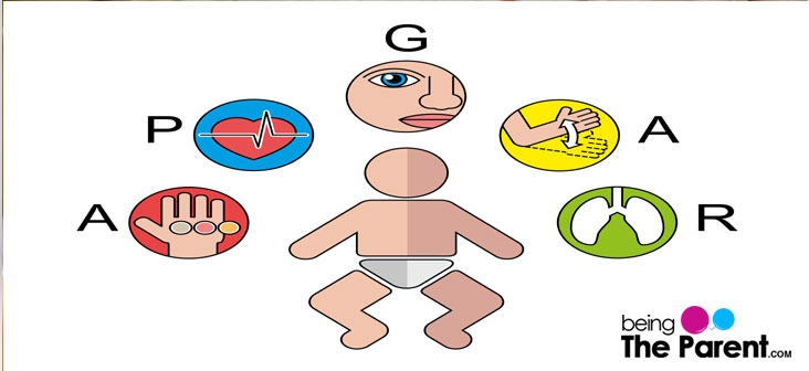 Apgar Scoring System Chart