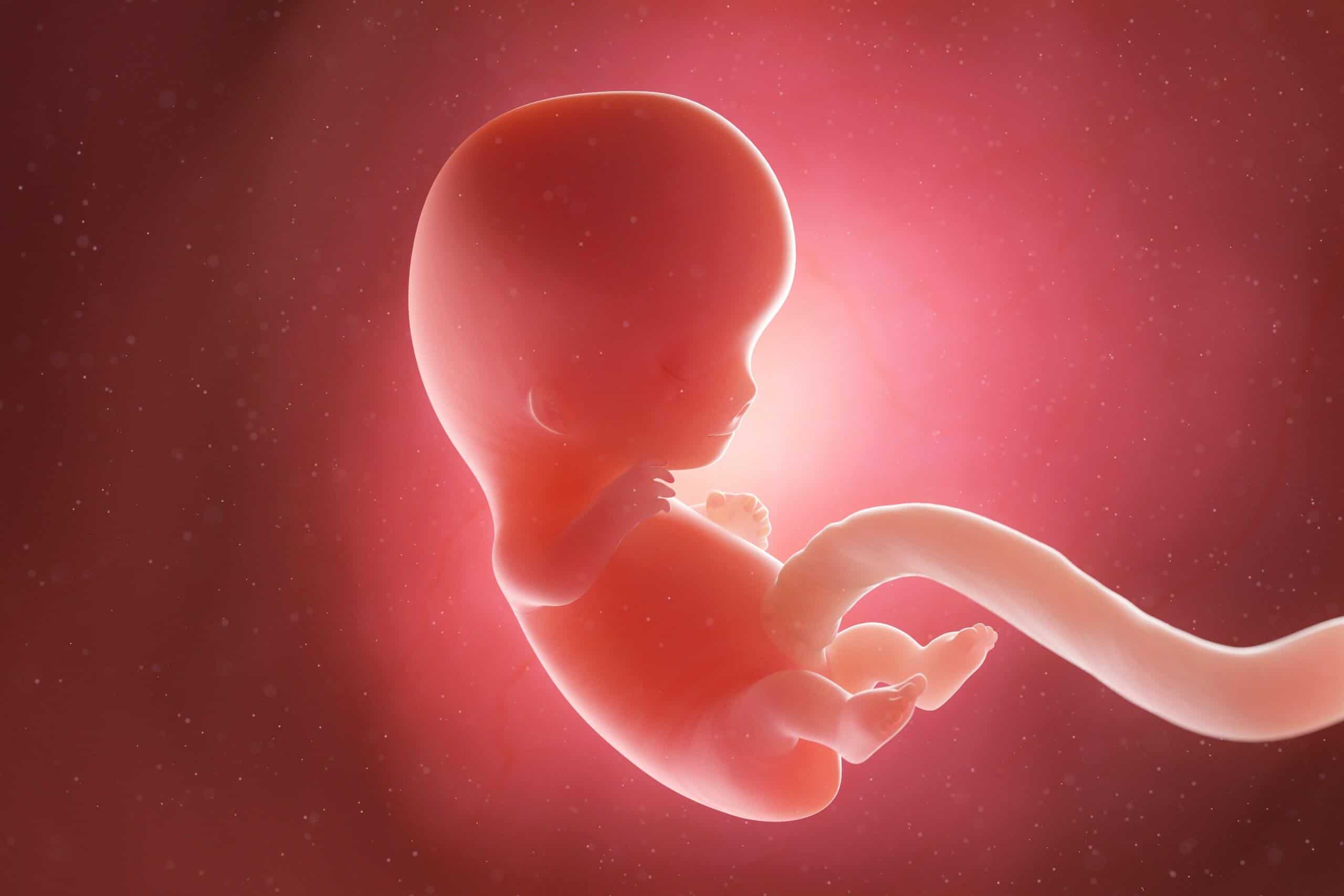 pregnancy-at-9-weeks-being-the-parent