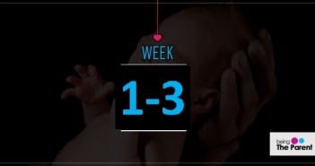 Discovering Pregnancy : Weeks 1 to 3