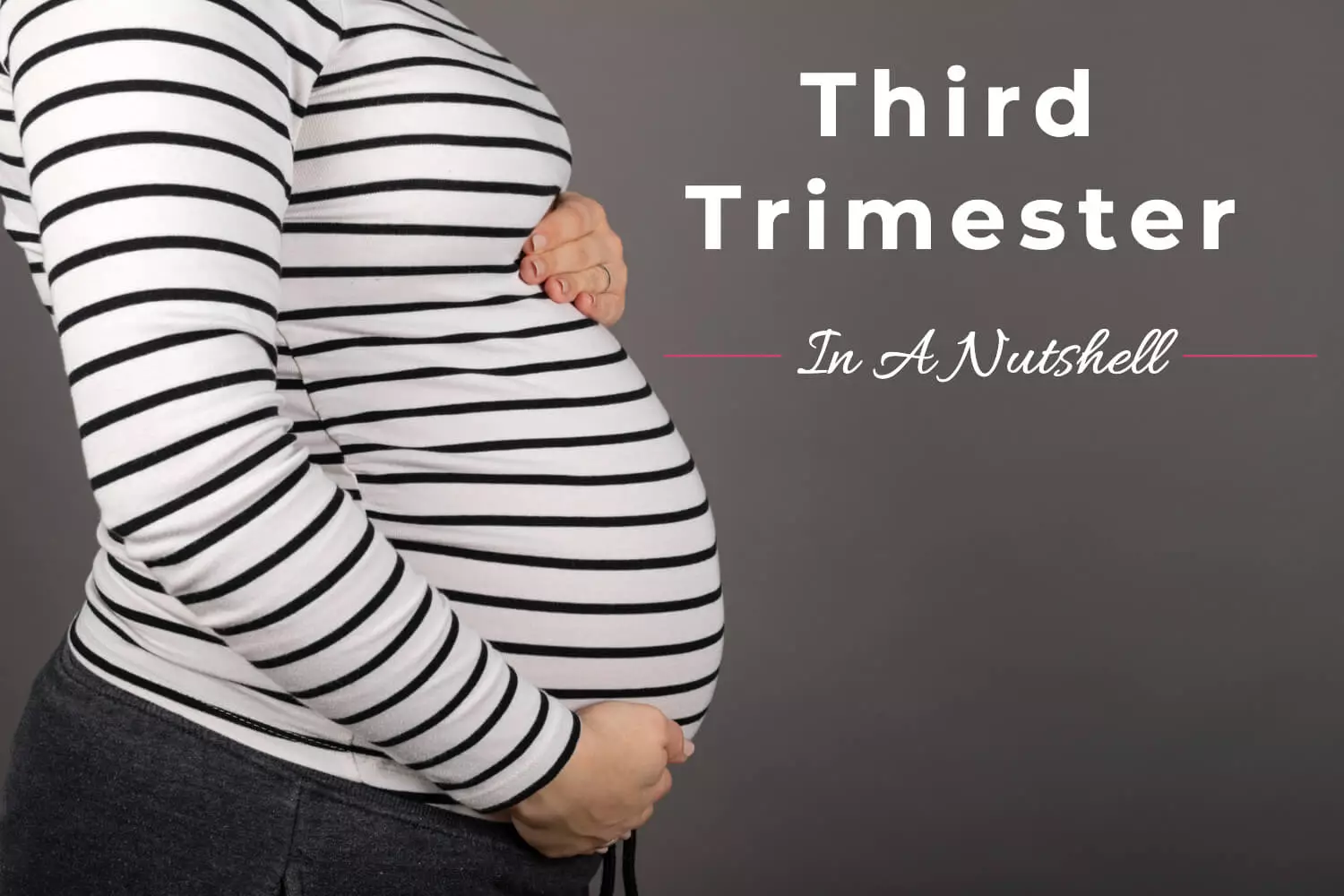 Third Trimester: In A Nutshell