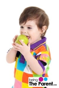 Toddler Nutrition