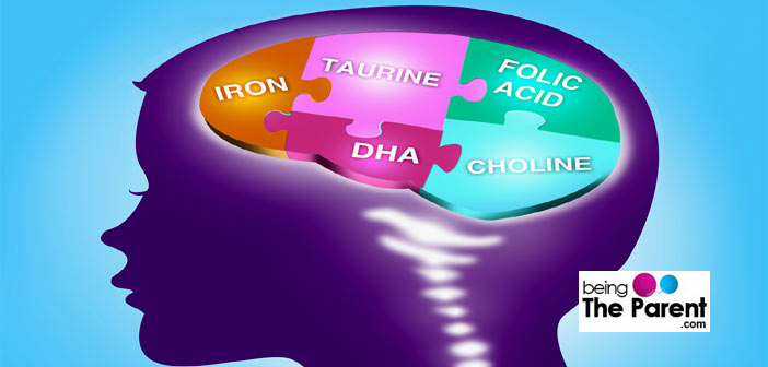 DHA and brain development