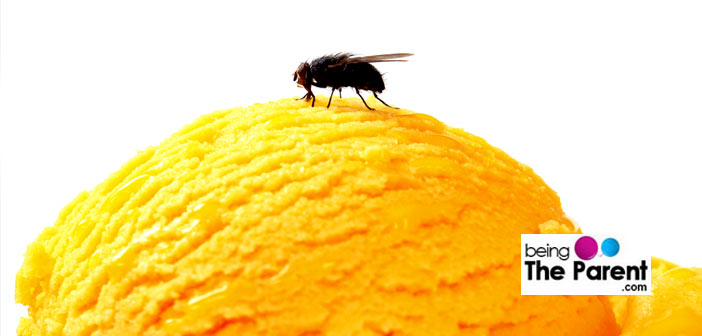 Housefly on icecream