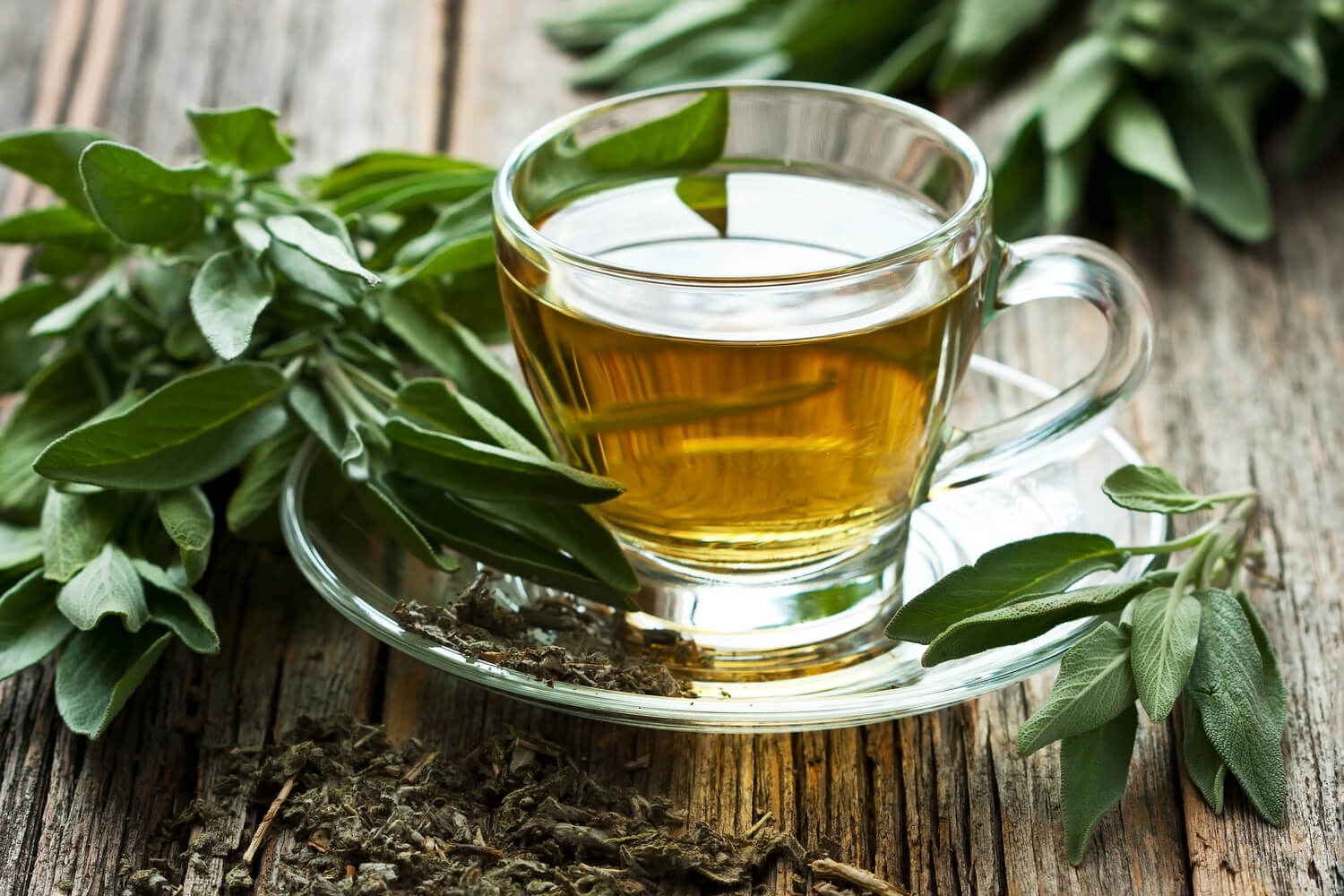 Are Herbal Teas During Pregnancy Safe? Being The Parent