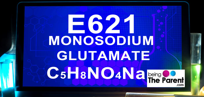 E621-MSG