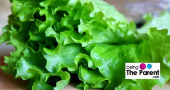 Is It Safe To Eat Lettuce During Pregnancy? Lettuce leaves