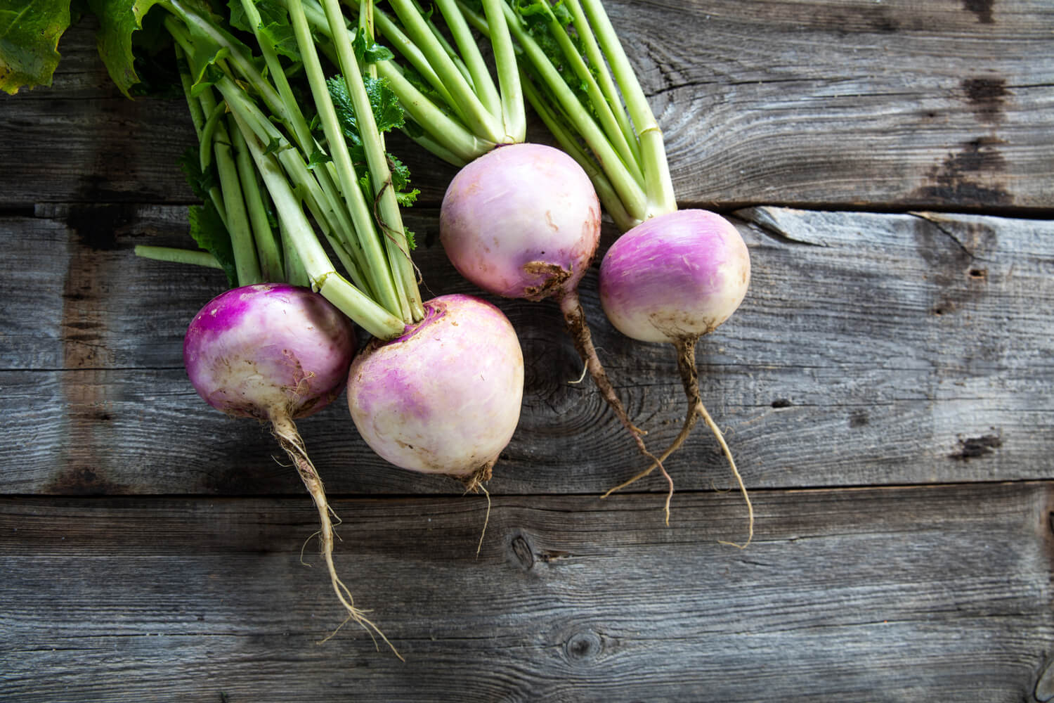 turnips during pregnancy