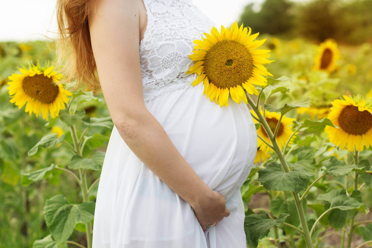 Is It Safe to Consume Sunflower Seeds During Pregnancy