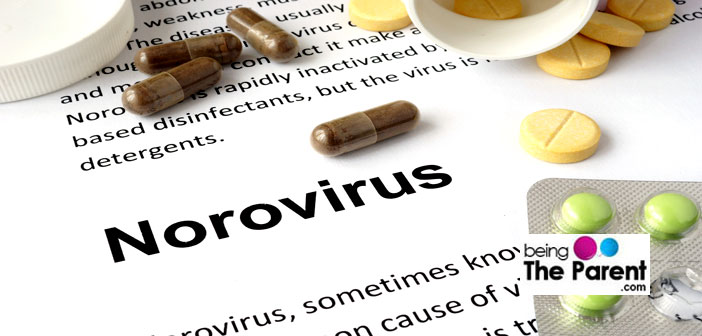 Norovirus in pregnancy