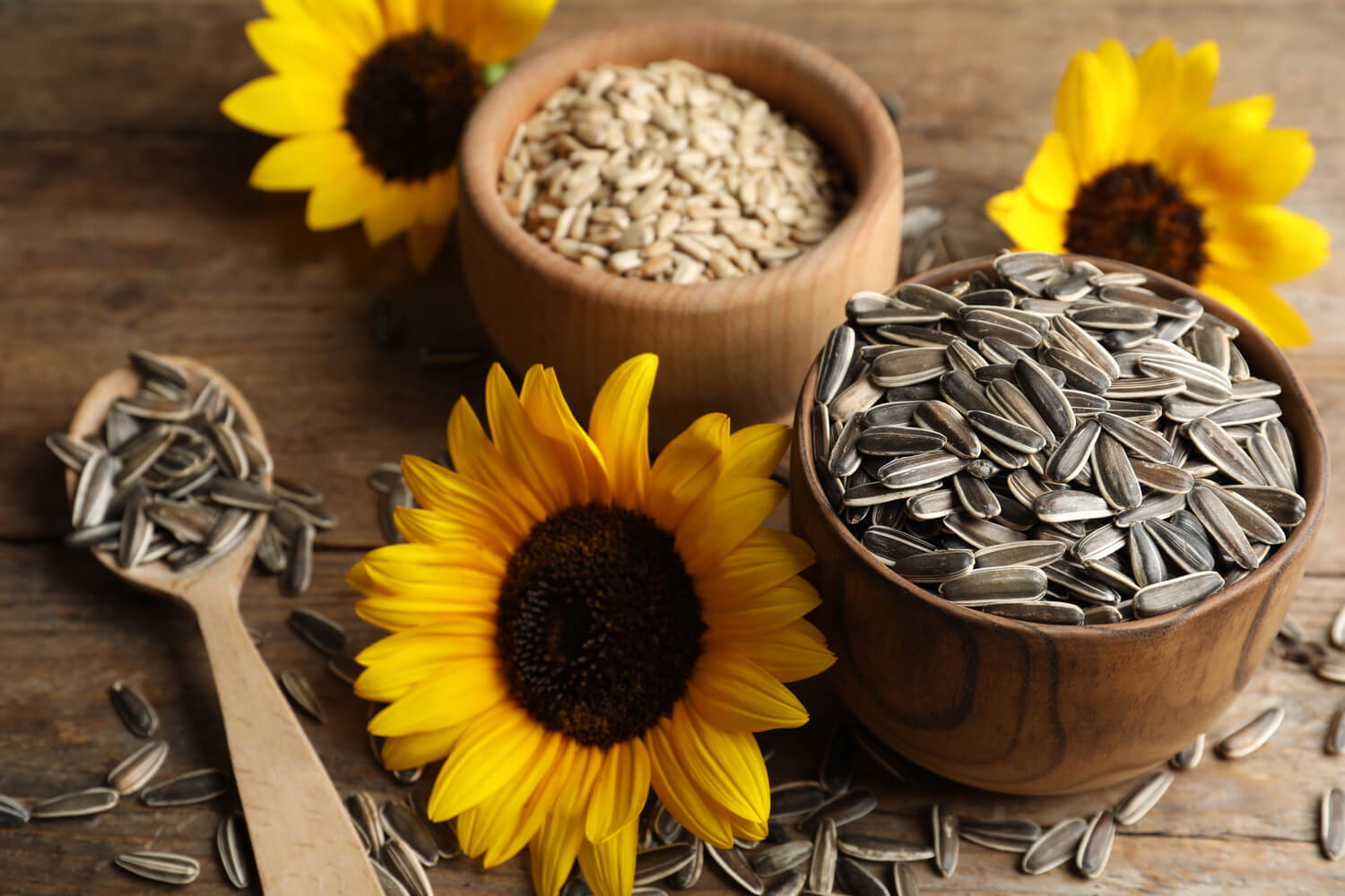 Sunflower seeds during pregnancy 