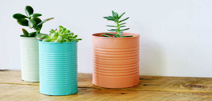 Tin Can Planters