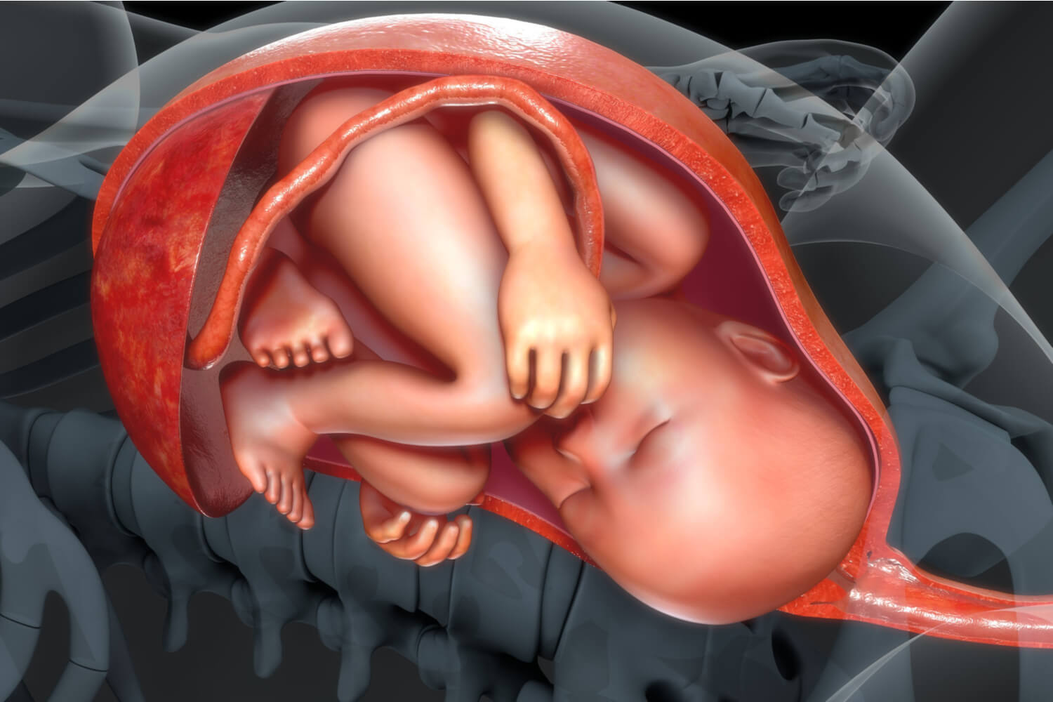 What Changes Happen To The Uterus In The Third Trimester_