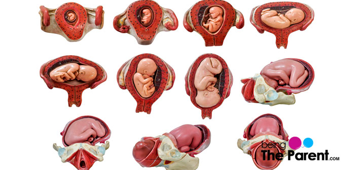 Uterus changes in pregnancy