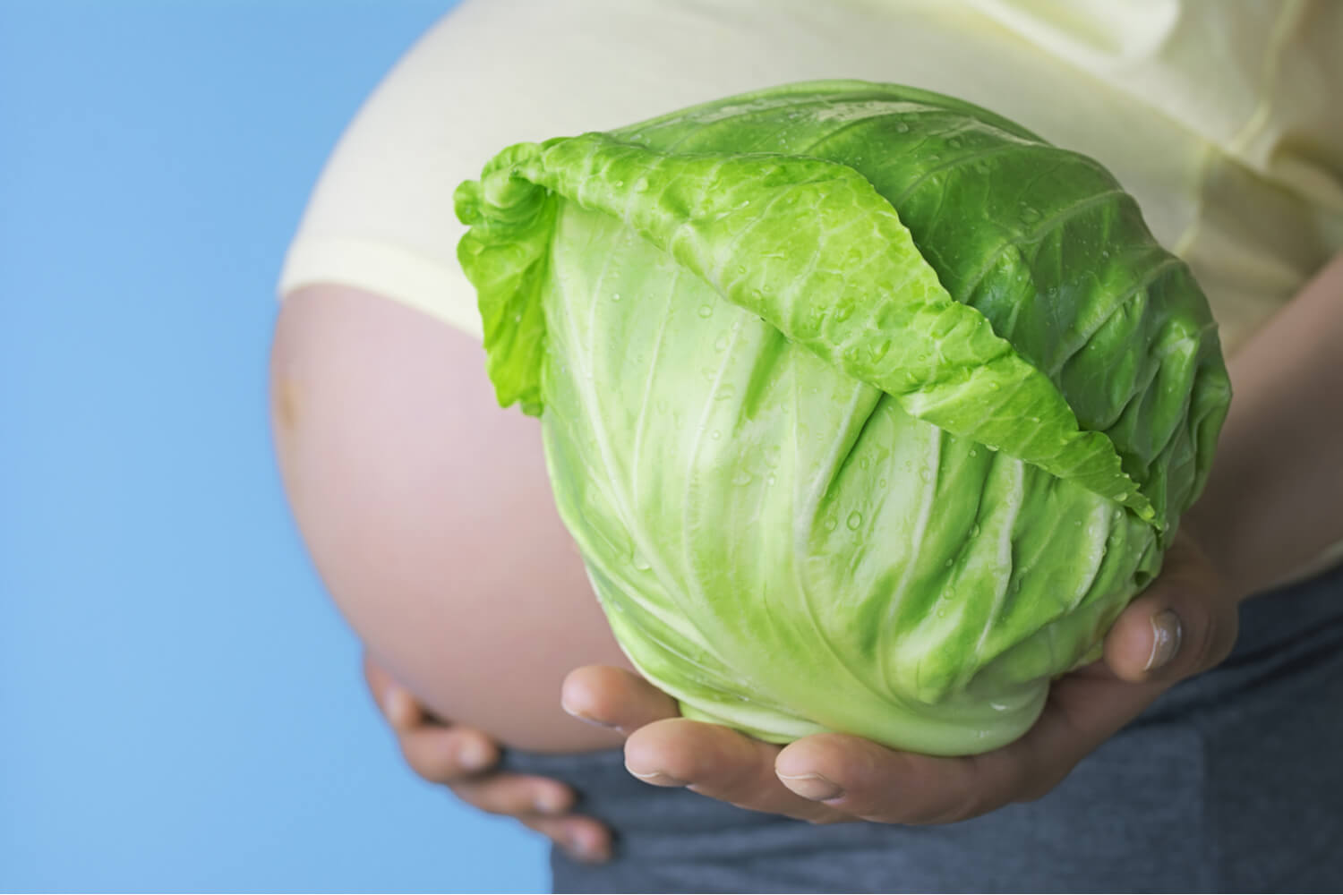 Which Variety of Cabbage is More Beneficial During Pregnancy_