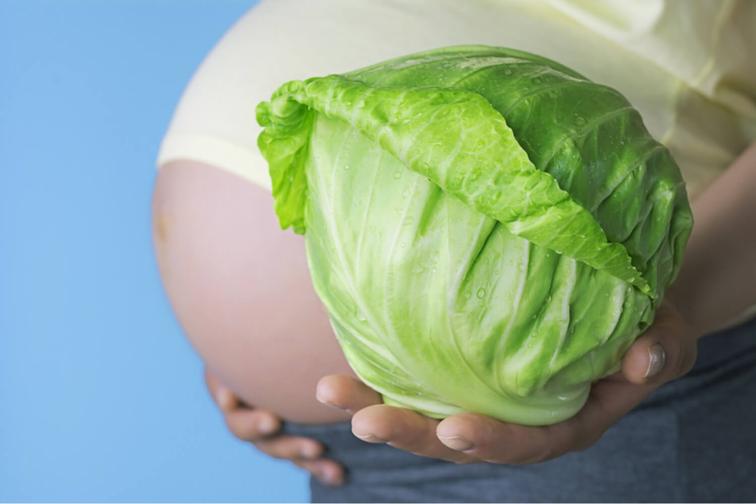 Is It Safe To Eat Cabbage During Pregnancy? Being The Parent