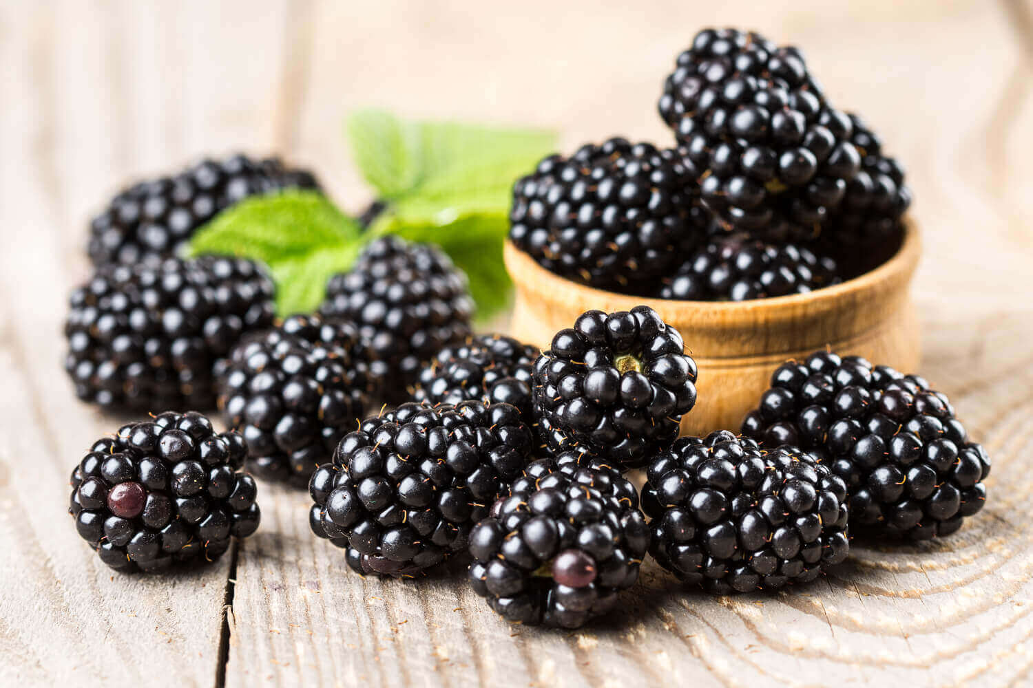 Are Blackberries Safe During Pregnancy? Being The Parent