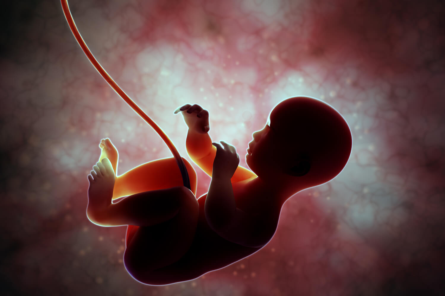 Fetal Anemia During Pregnancy
