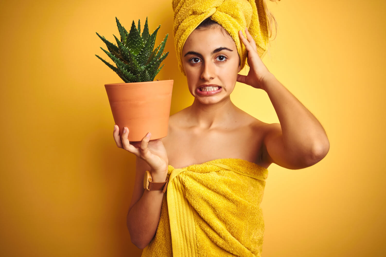 risks of aloe during pregnancy