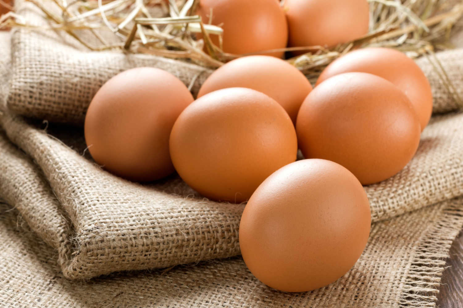 eggs