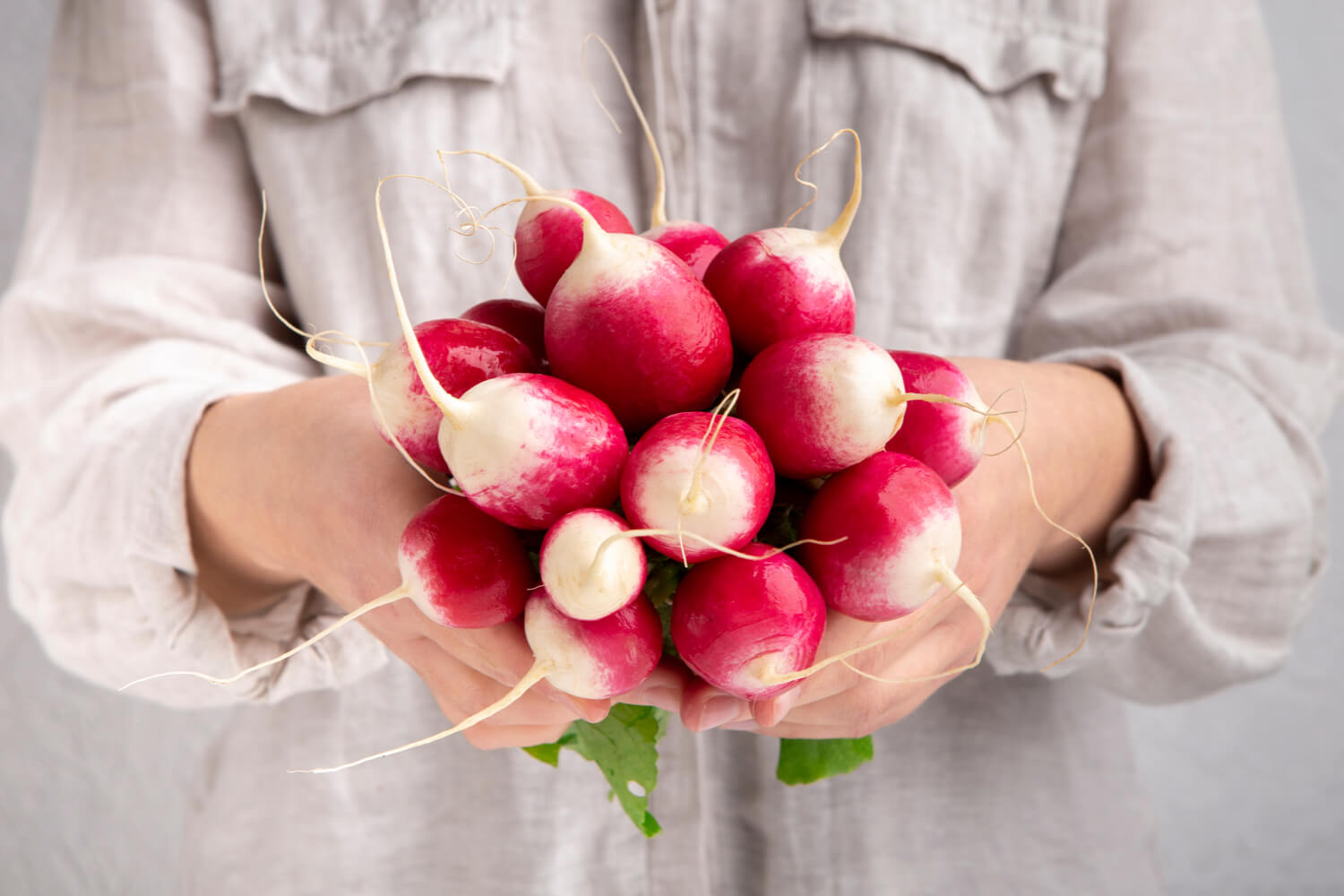 Is It Safe To Eat Radish During Pregnancy? Being The Parent