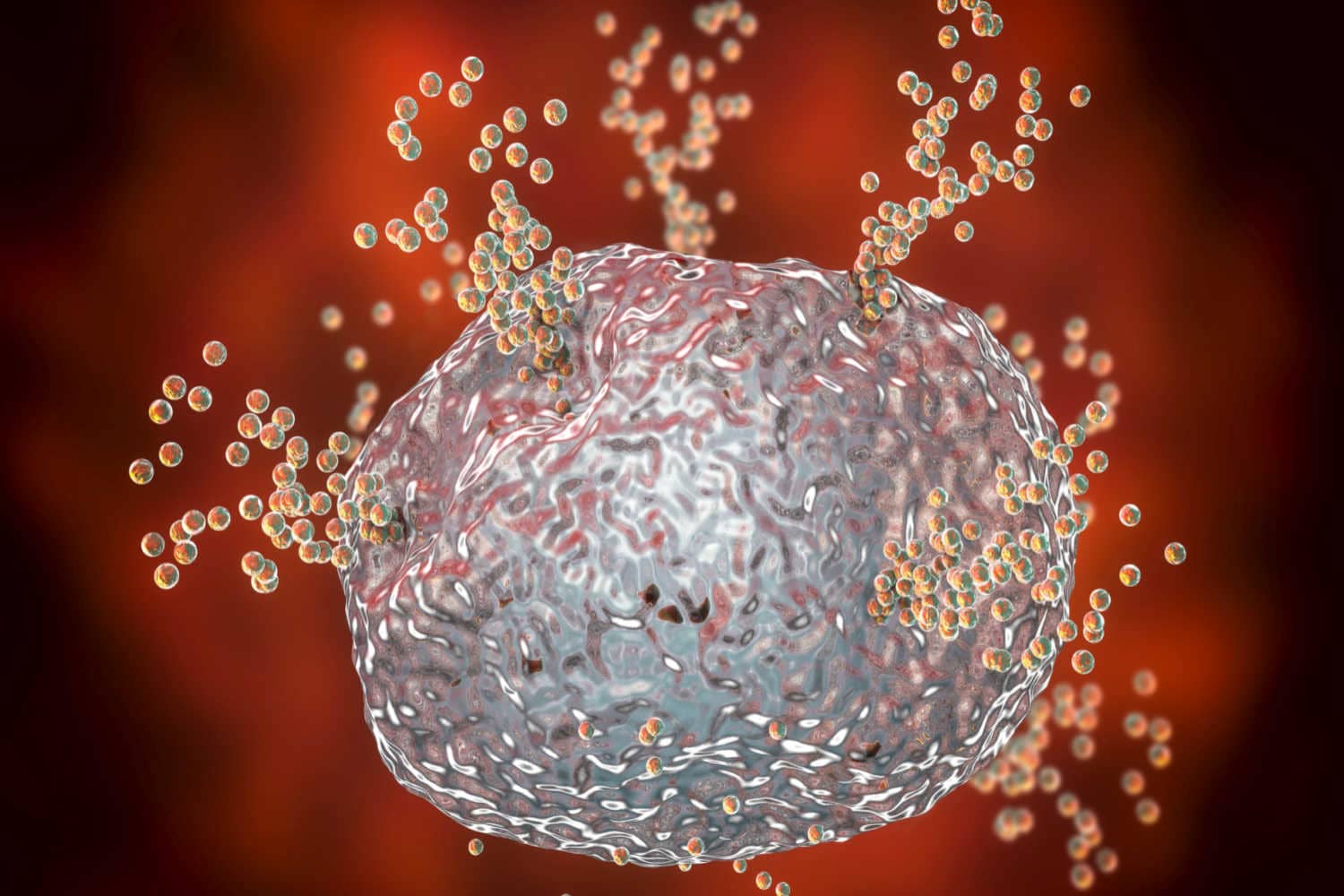 Mast cell releasing histamine during allergic response