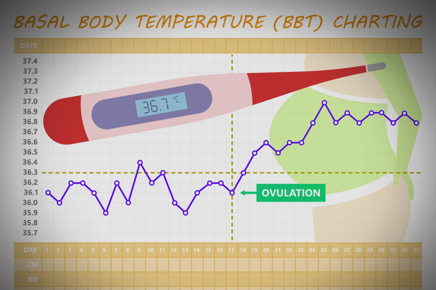 bbt-basal-body-temperature-chart-everything-you-need-to-know-2022