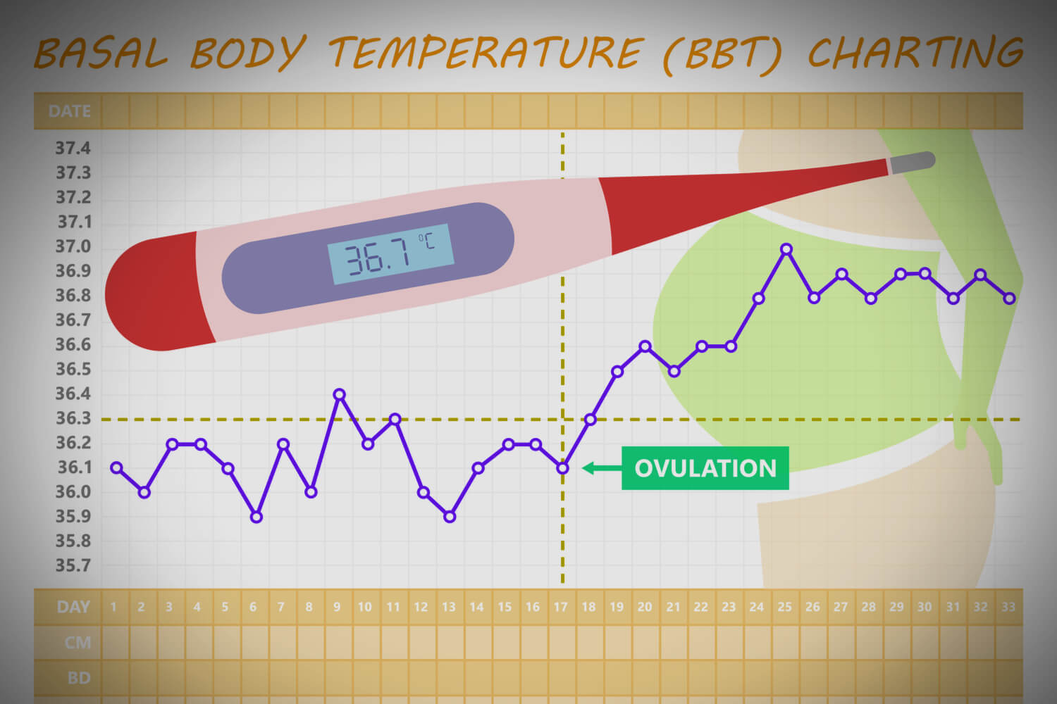 Ovulation Chart Download