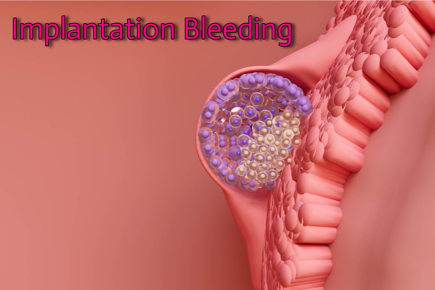 Why Does Implantation Bleeding Happen? - Being The Parent