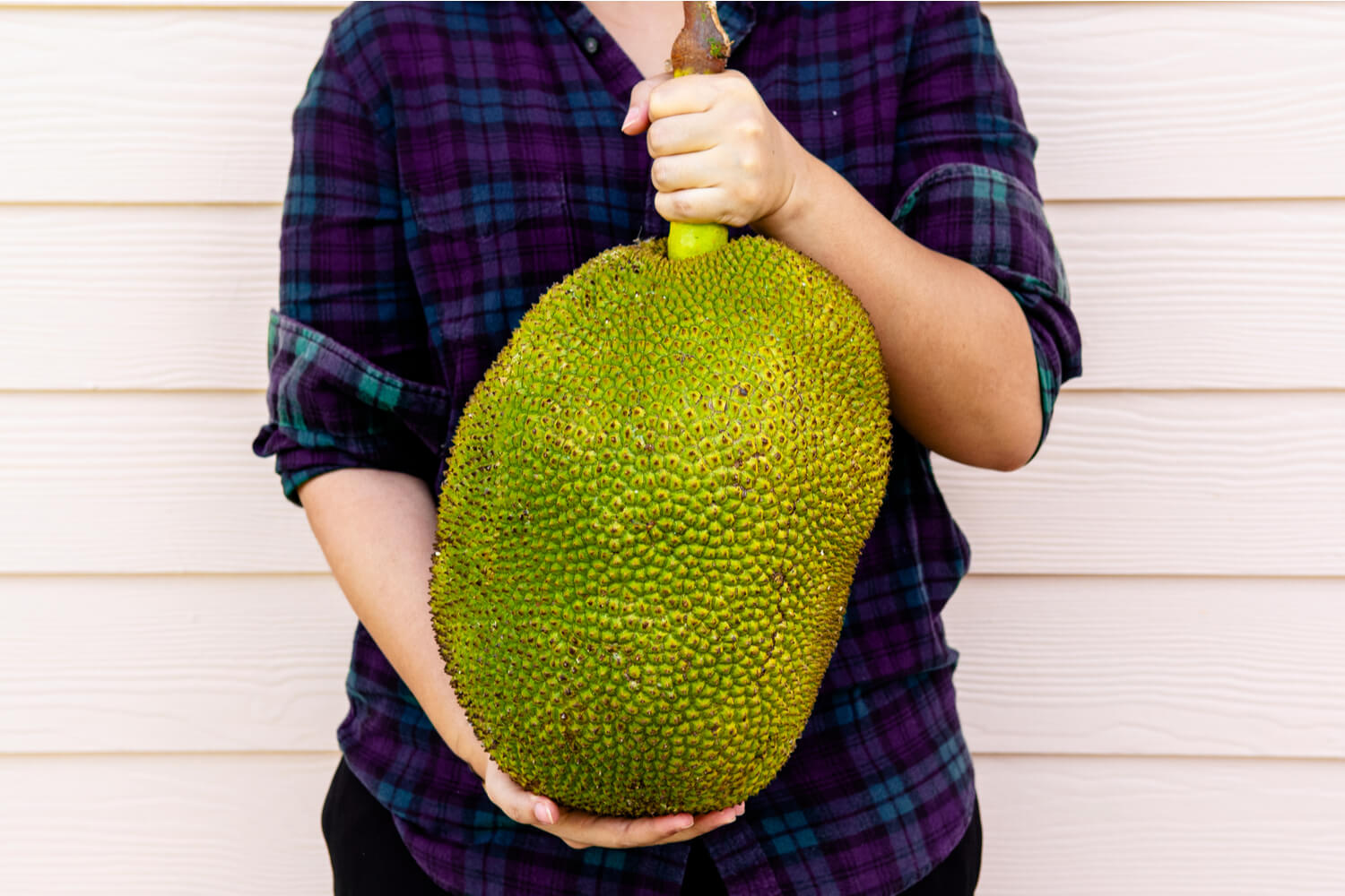 benefits of jackfruit during pregnancy