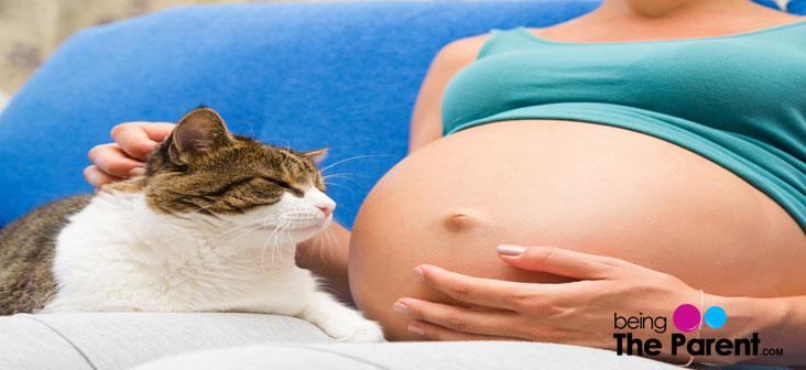 cat litter during pregnancy