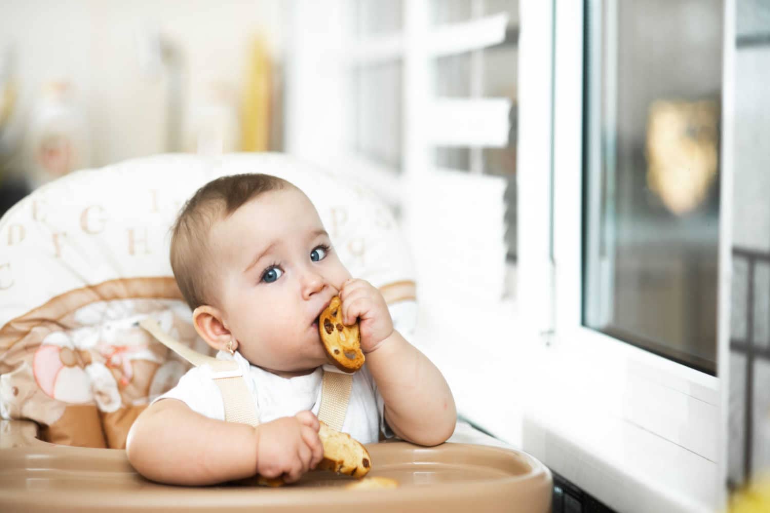 Raisins For Babies When to Introduce, Benefits, And Side Effects