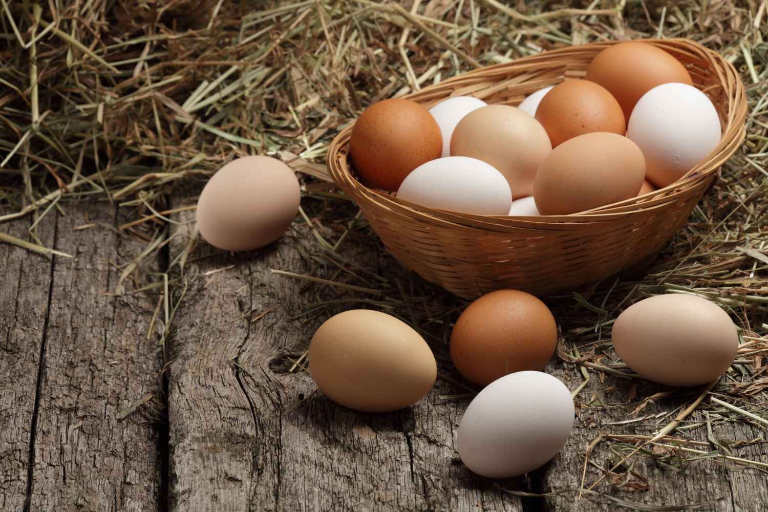 Eggs and Poultry