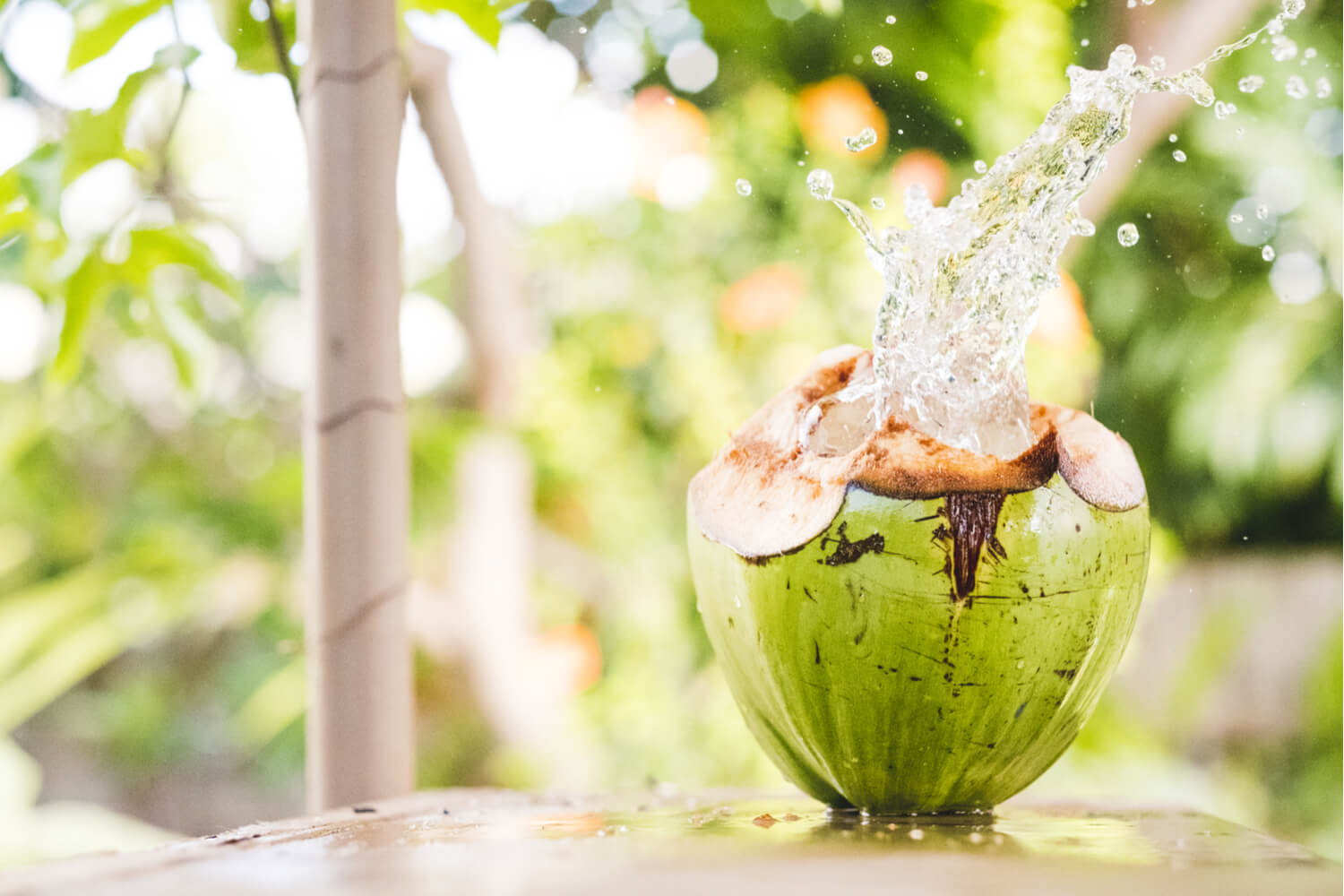 coconut water during pregnancy