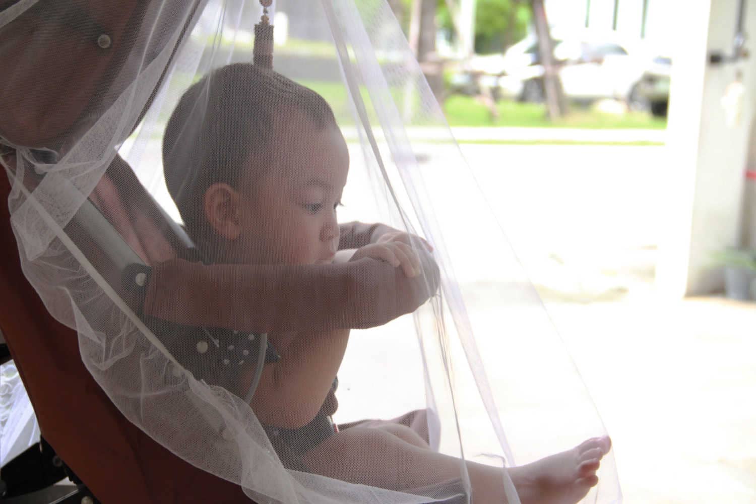 Mosquito Bites In Babies Causes, Remedies, Treatment and Prevention