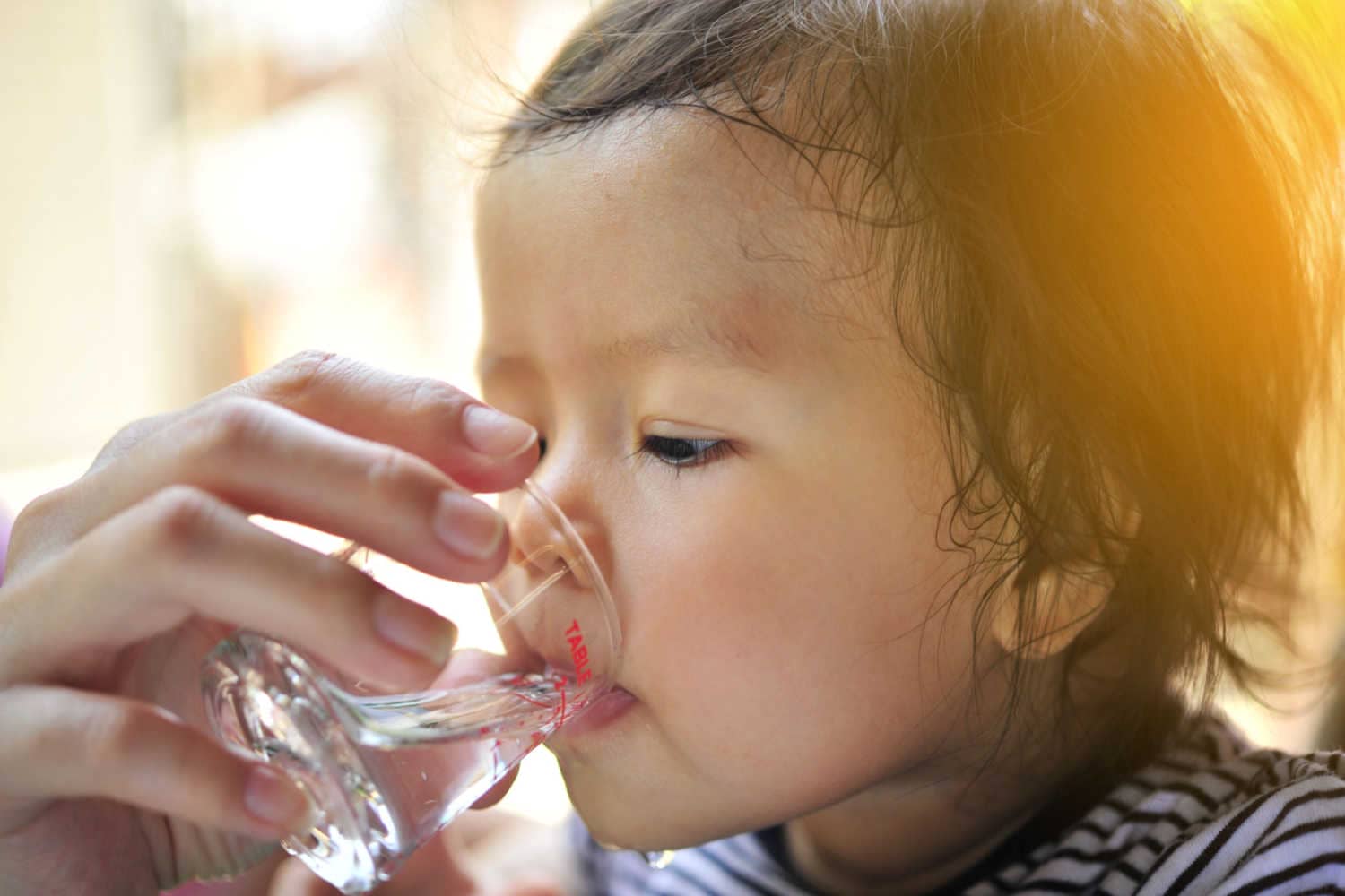 When Can I Give Water To Baby? Being The Parent