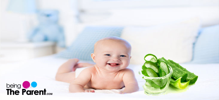 5 Amazing Benefits Of Aloe Vera For Babies Being The Parent