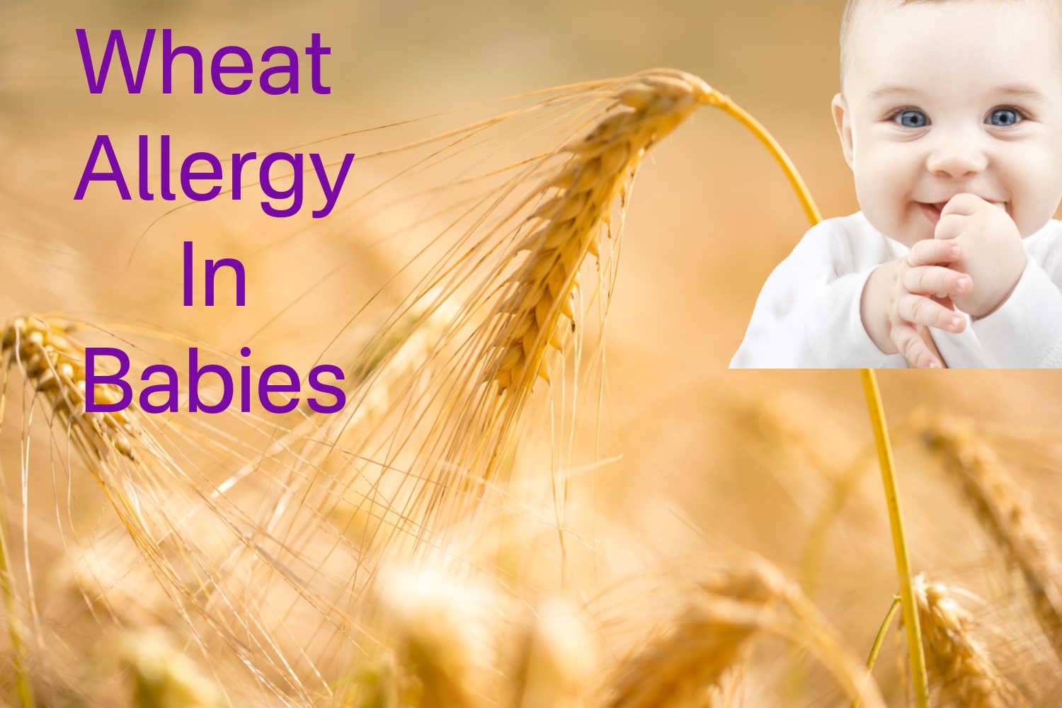 All About Wheat Allergy In Babies Being The Parent