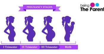 Trimesters: The Expectations And Progress 3 Trimesters Of Pregnancy