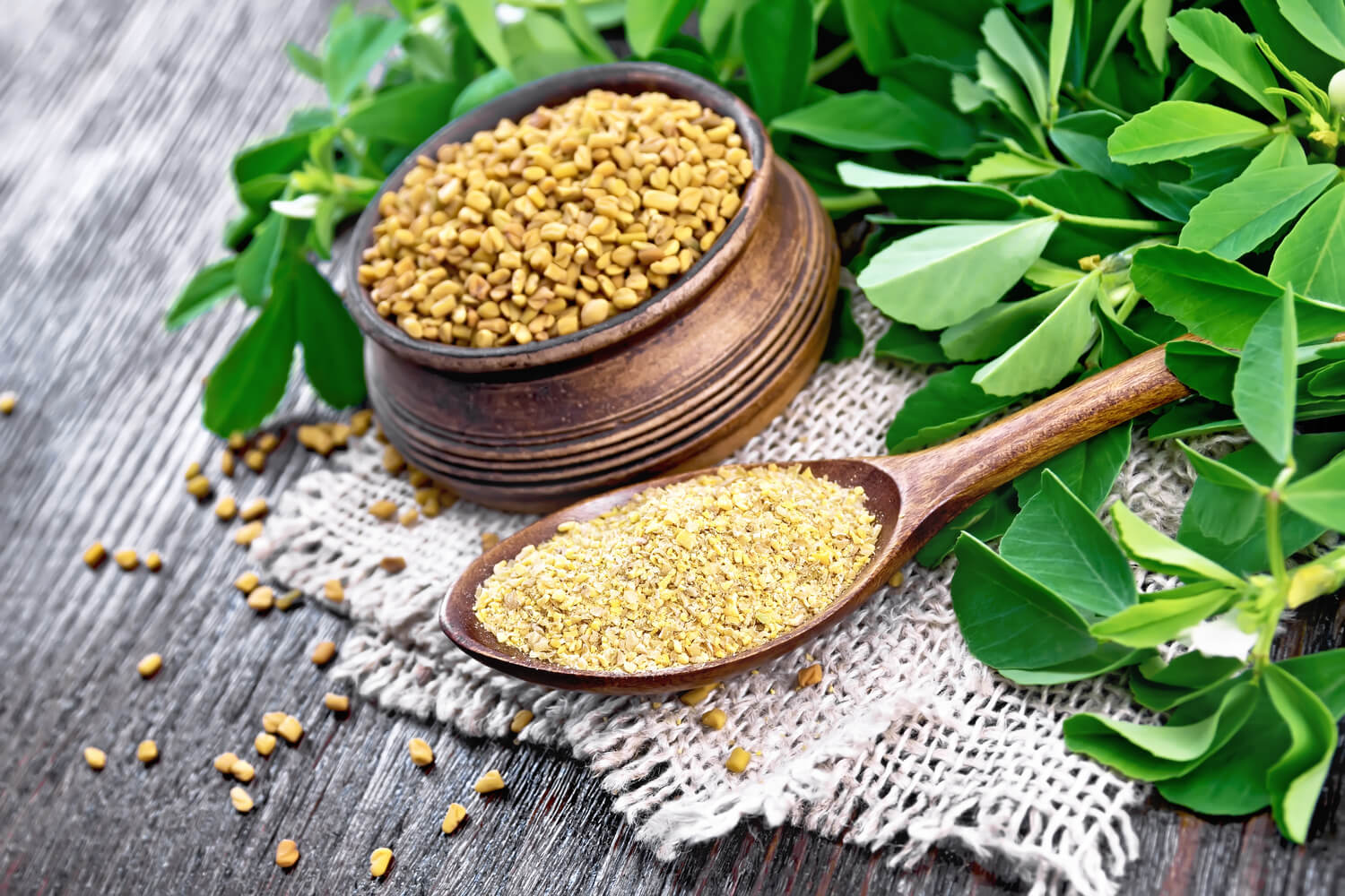 10 Ways To Use Fenugreek To Increase Breast Milk Production - Being The  Parent
