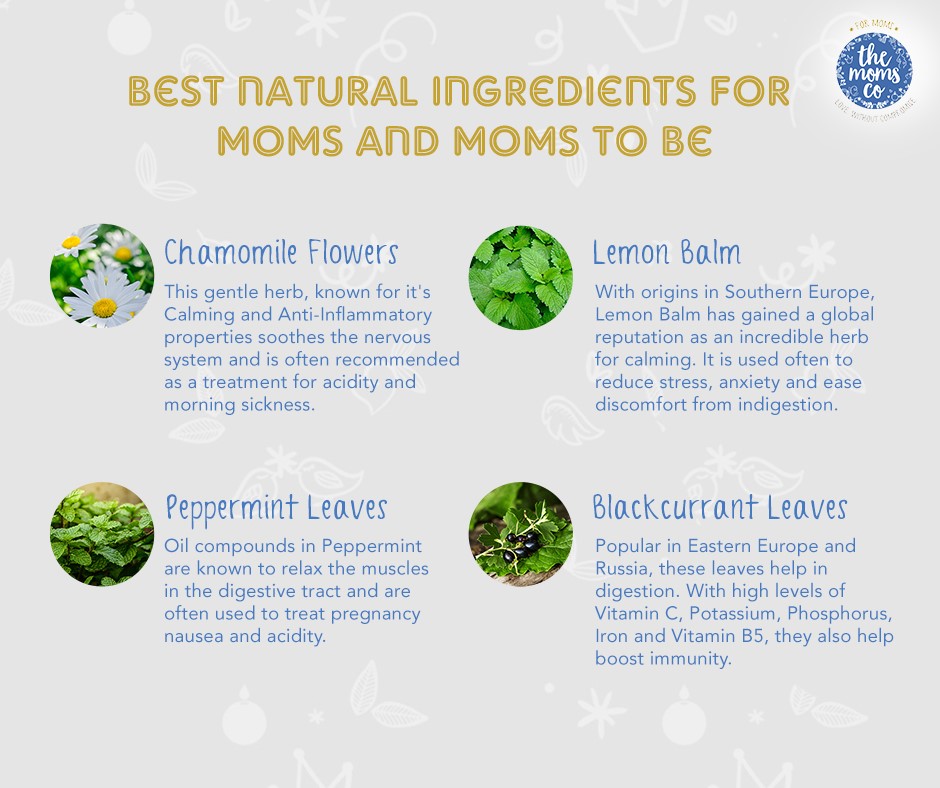 chamomile for pregnancy