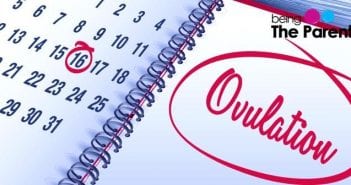 Important Facts About Ovulation facts-about-ovulation