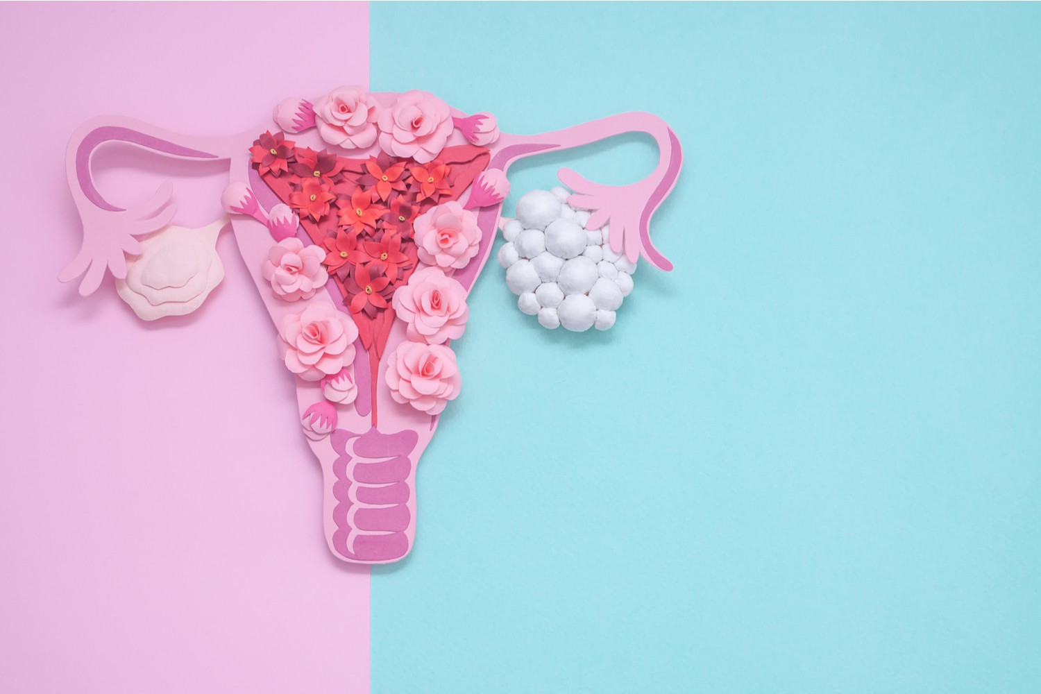 Fertility Treatment For PCOS Being The Parent