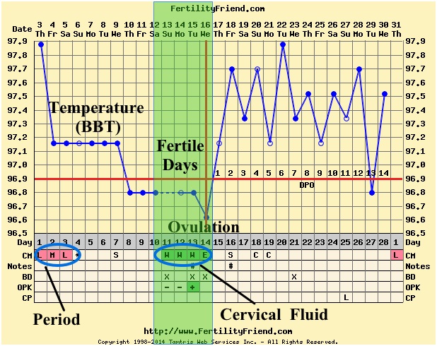 Ovulation Chart