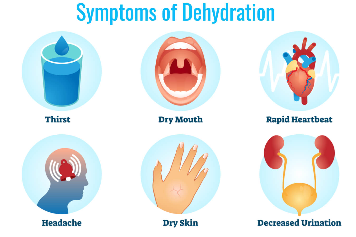 How Dehydration Pregnancy? - Being The Parent