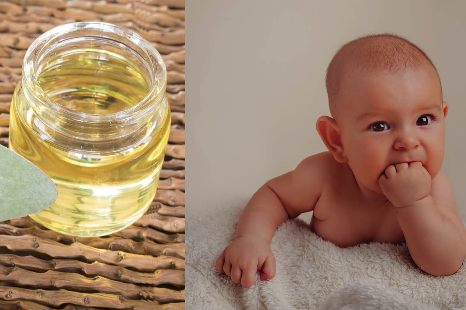 Eucalyptus Oil For Babies Is It Safe To Use? Being The Parent