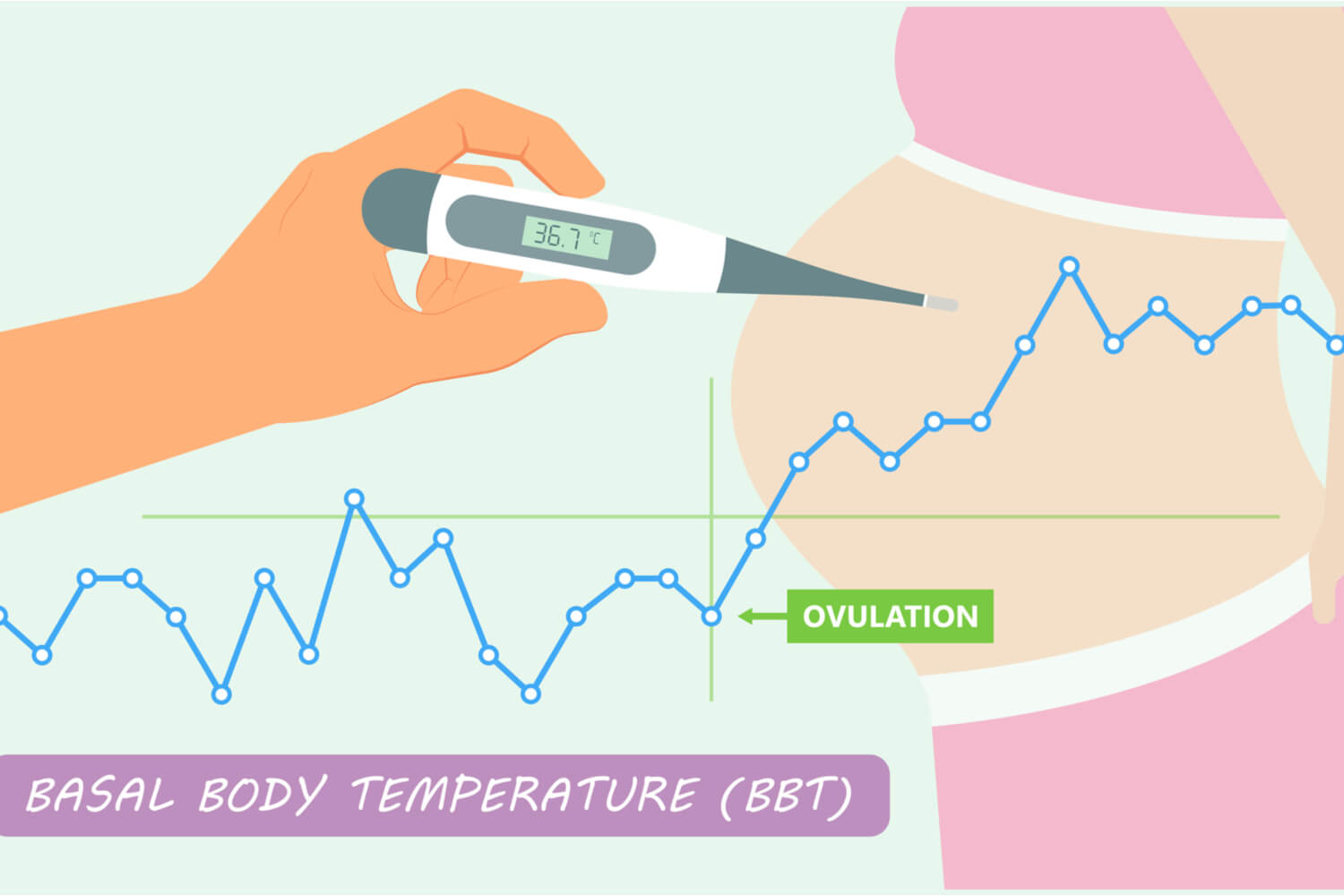 Basal Body Temperature