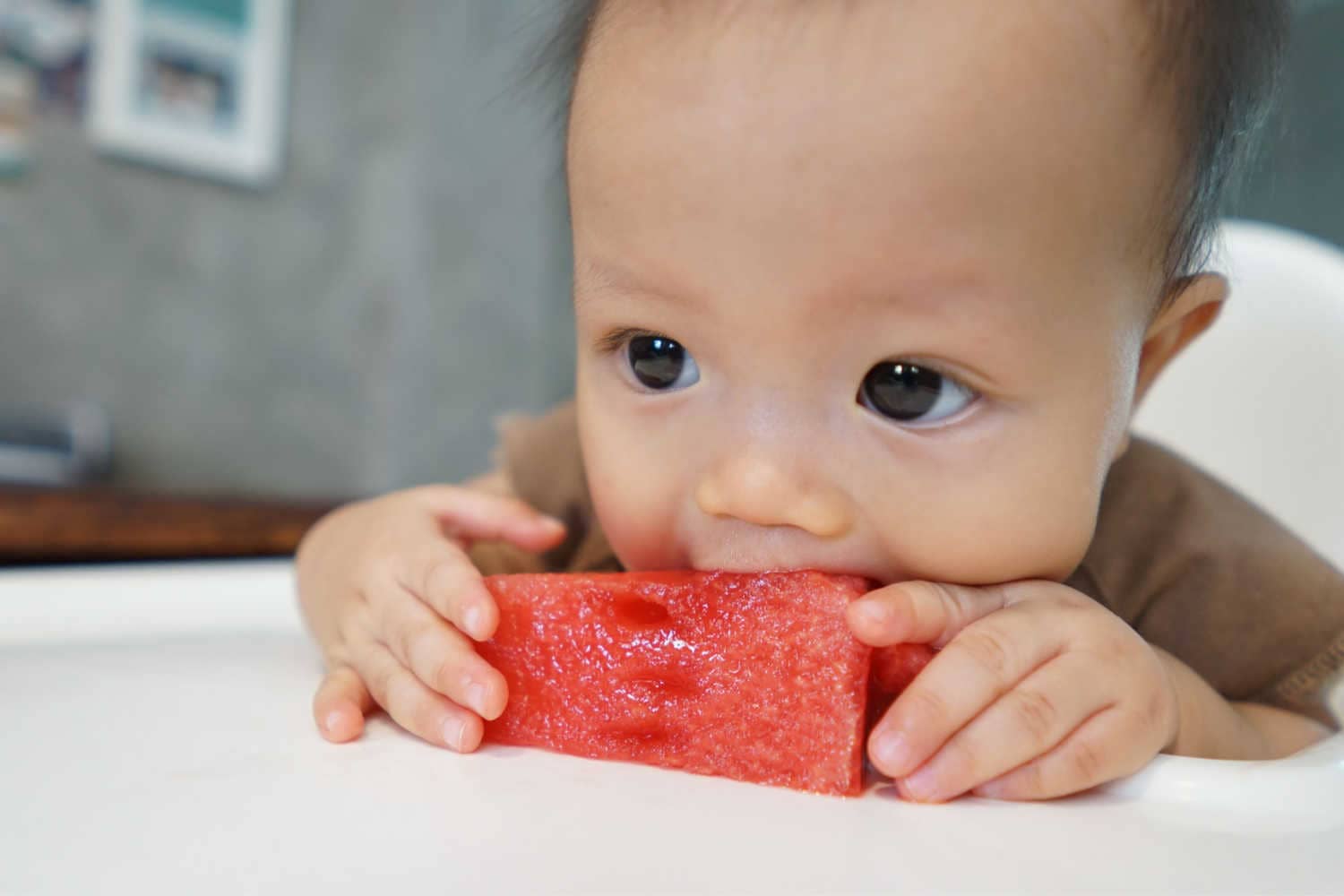 Watermelon For Babies When to Introduce, Benefits And Precautions