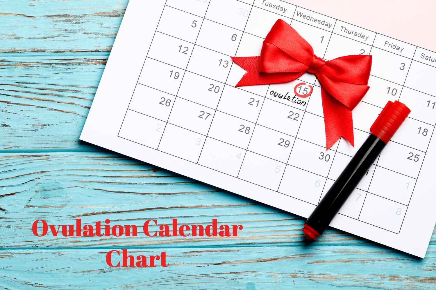 Ovulation Calendar Chart